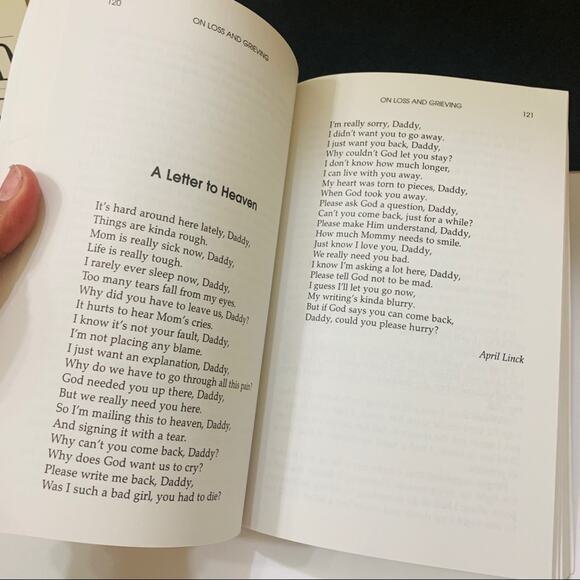 Book Bundle Lies Young Women Believe Chicken Soup for the Christian Teenage Soul - Picture 6 of 12